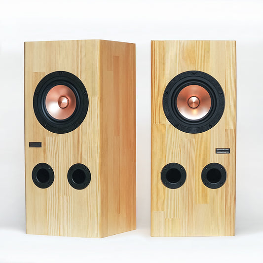 MarkAudio NC9_kit DIY speaker kit