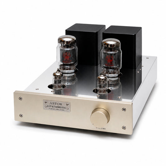ASTOR Paire amplificateur de puissance monaural AST-KT88MVIP