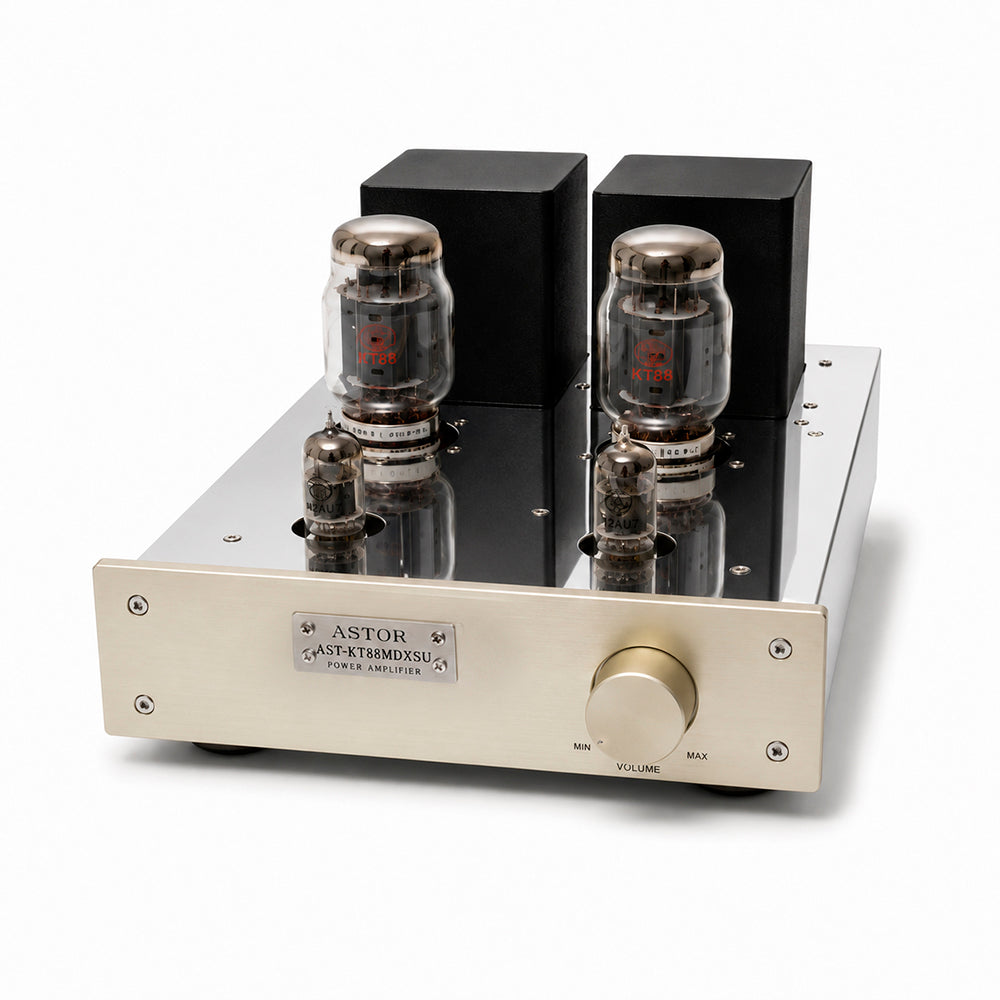 ASTOR Ensemble d'amplificateurs de puissance mono KT88 AST-KT88MDXSU