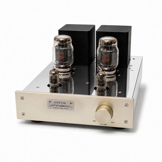 ASTOR Ensemble d'amplificateurs de puissance mono KT88 AST-KT88MDXSU