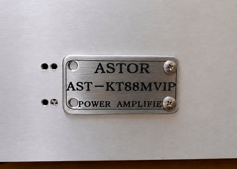 Woodman KT88 POWER AMPLIFIER フォトフレーム Astro Electronics AST-KT88MVIP | KT88 tube monaural power