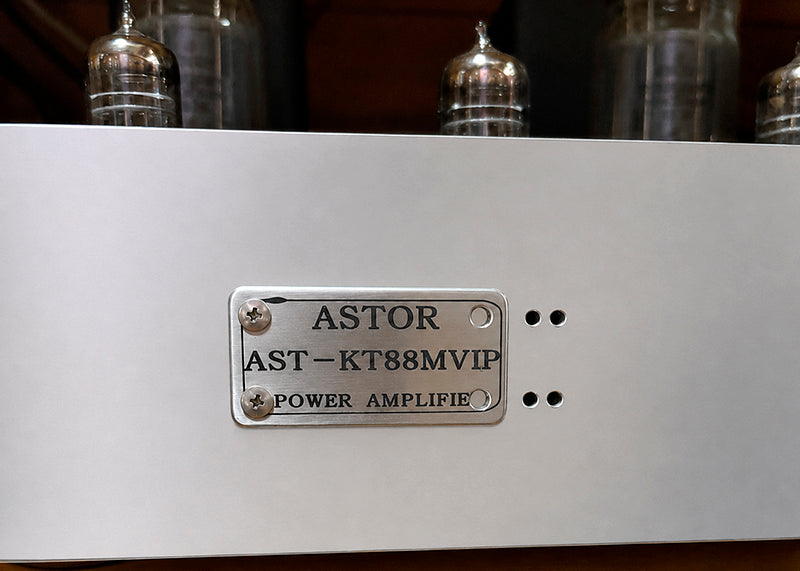 ASTOR Paire amplificateur de puissance monaural AST-KT88MVIP