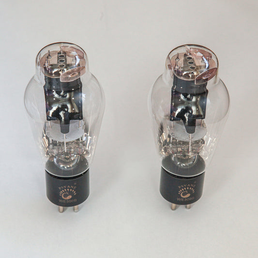 Paire de 2 tubes PSVANE WE300B