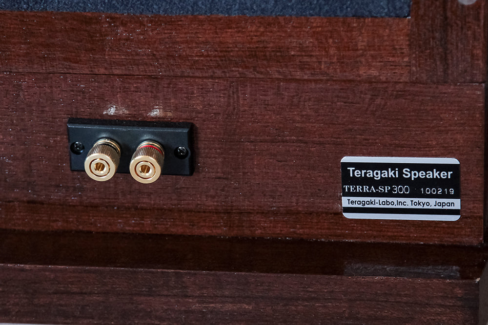 Teragaki Labs较旧型号的TERRA-SP300一对